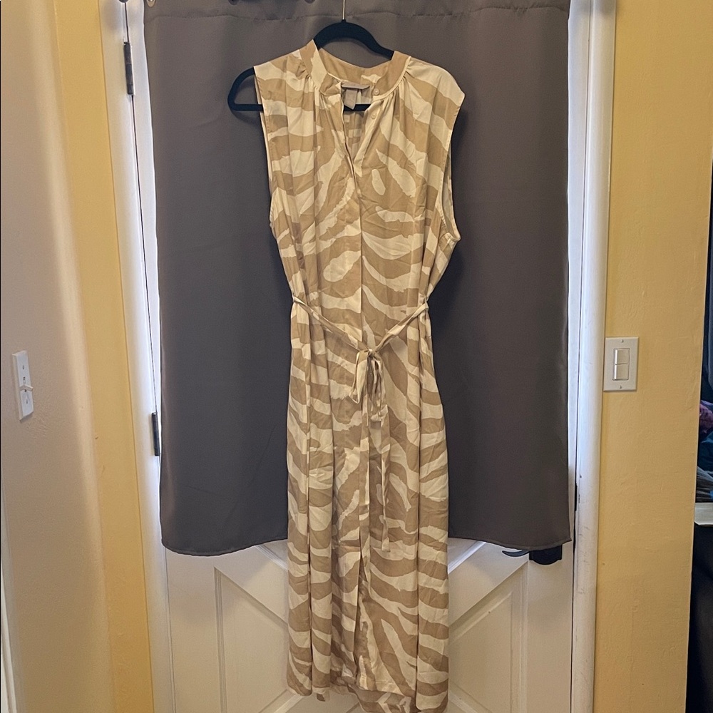 H&M zebra stripe maxi dress